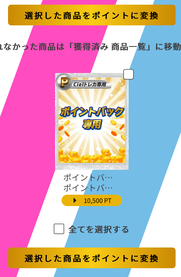 ポイントパック専用 10500pt