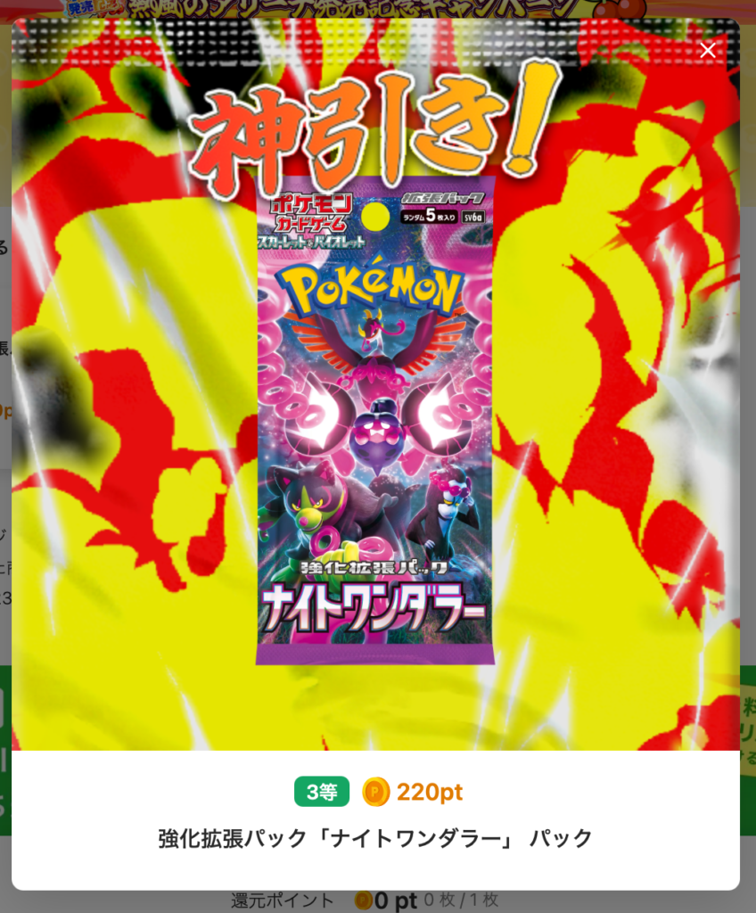 ナイトワンダラー パック