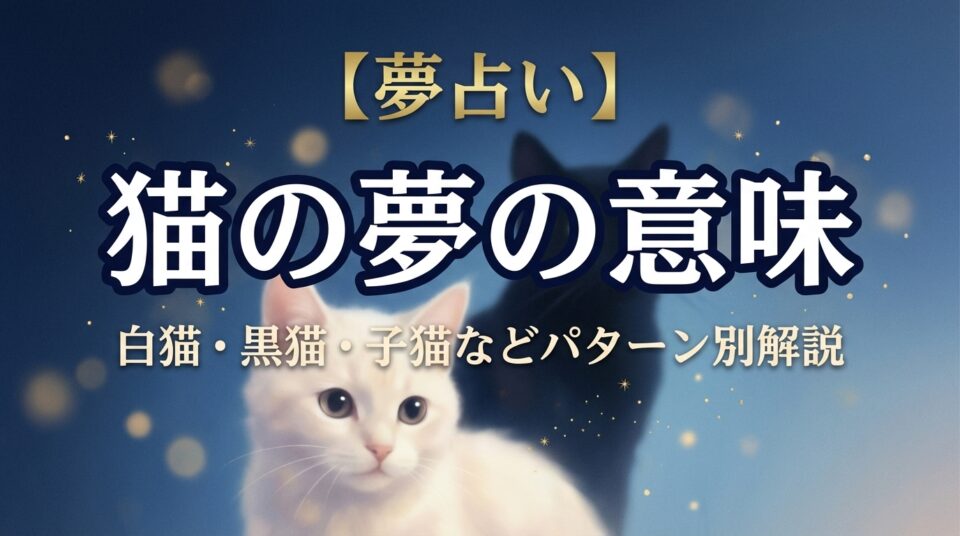 「猫の夢占い｜白猫・黒猫・子猫などパターン別の意味と解説」