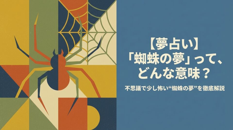 夢占い 蜘蛛の夢の意味を解説｜不思議で少し怖い蜘蛛の象徴と心理を読み解くイメージ
