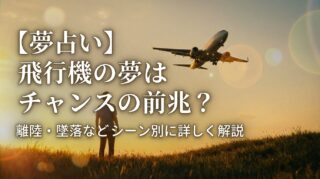 【夢占い】飛行機の夢はチャンスの前兆？離陸・墜落などシーン別に詳しく解説