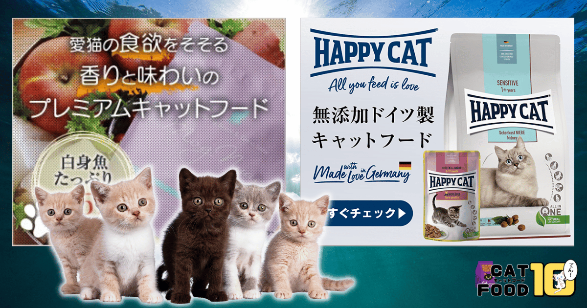 モグニャン vs HAPPY CAT