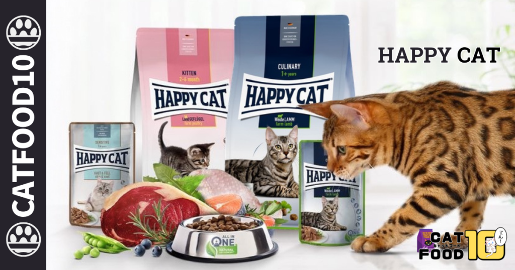 06.HAPPY CAT