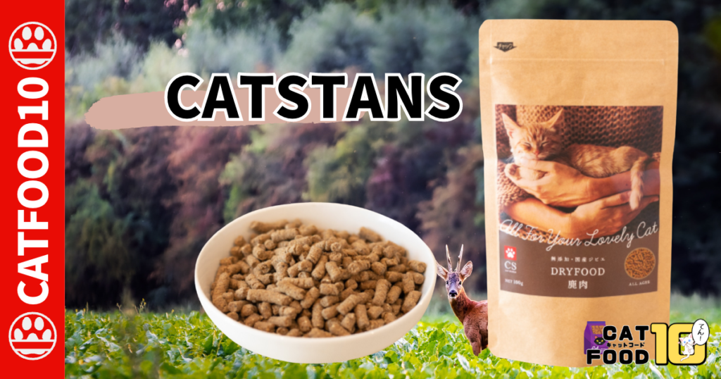 10.CAT STANCE(キャットスタンス)