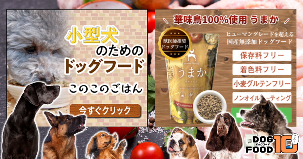 このこのごはん vs うまか