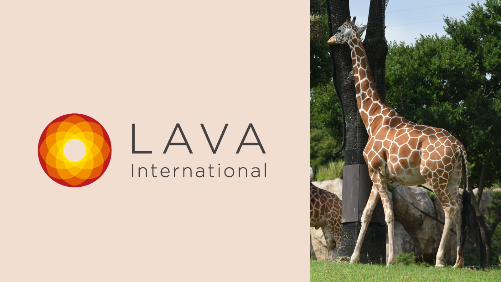 ホットヨガスタジオLAVA 鶴ヶ峰