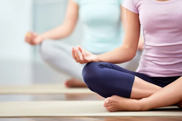 Wellness Lifestyle