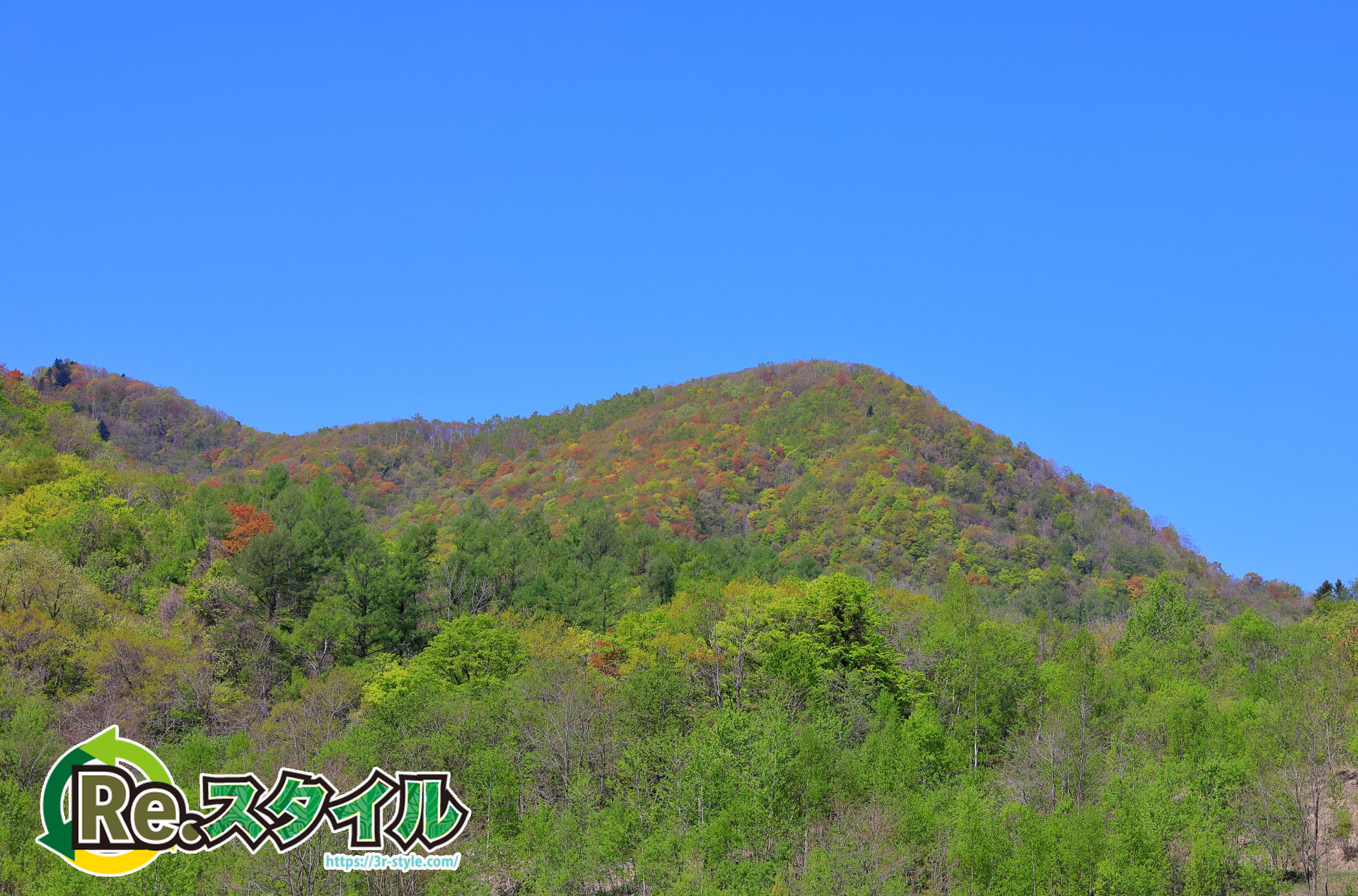 北海道札幌市西区でパソコンを処分するならどうしたらいい？おすすめの回収業者と処分の流れ