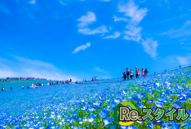 ひたちなか市でパソコンを捨てる前に｜無料で出す方法と注意点